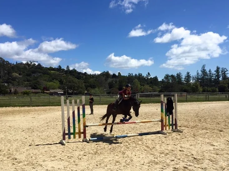 White Rock English Show