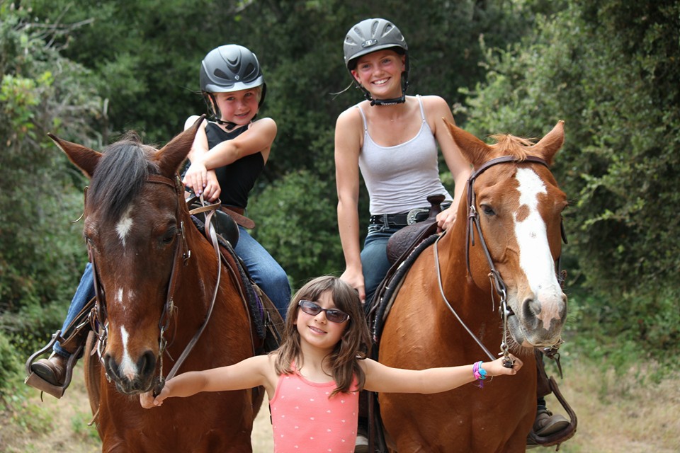 Gold Coast English/Western Show