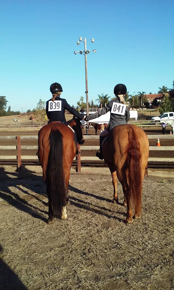 SCCHA Western/English Show