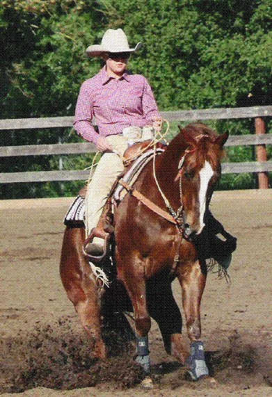 CSHA Region 6 Western/English Show