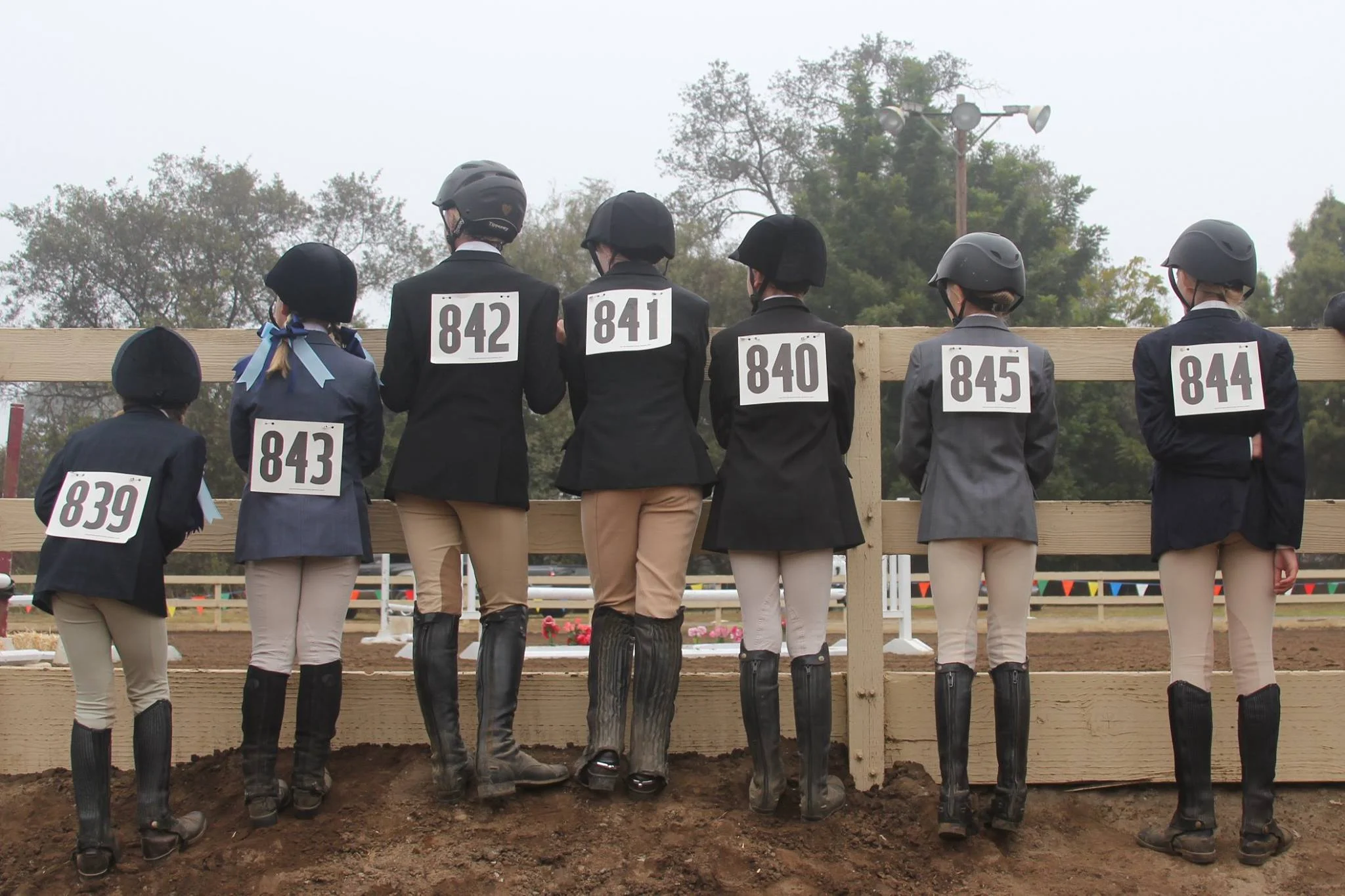 Santa Cruz County Fair Hunter/Jumper Show