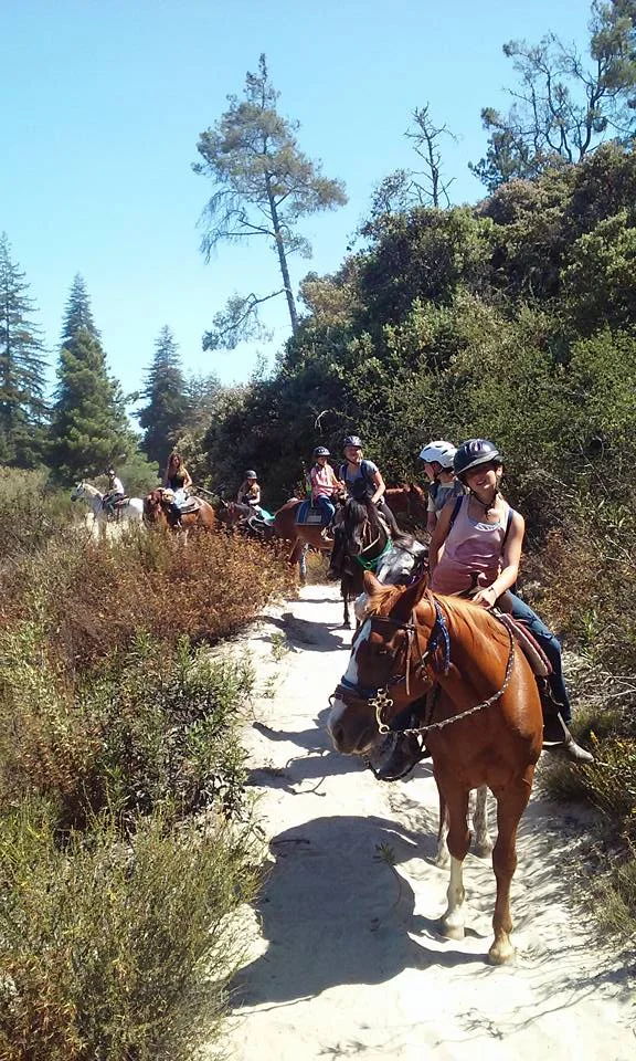 Adventure Camp - Saddleclub