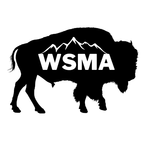 WSMA
