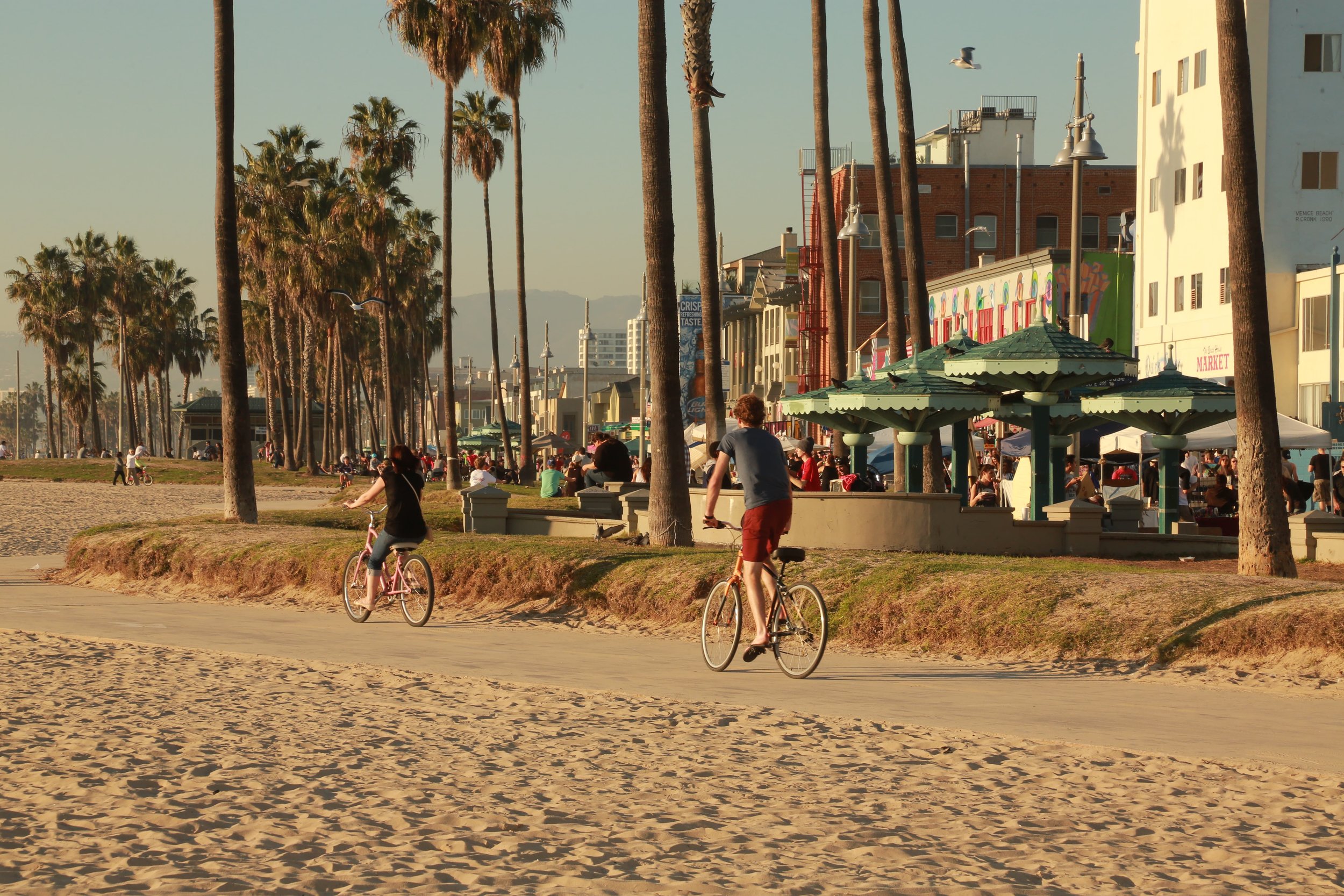 Riding bikes from Venice Beach to Santa Monica