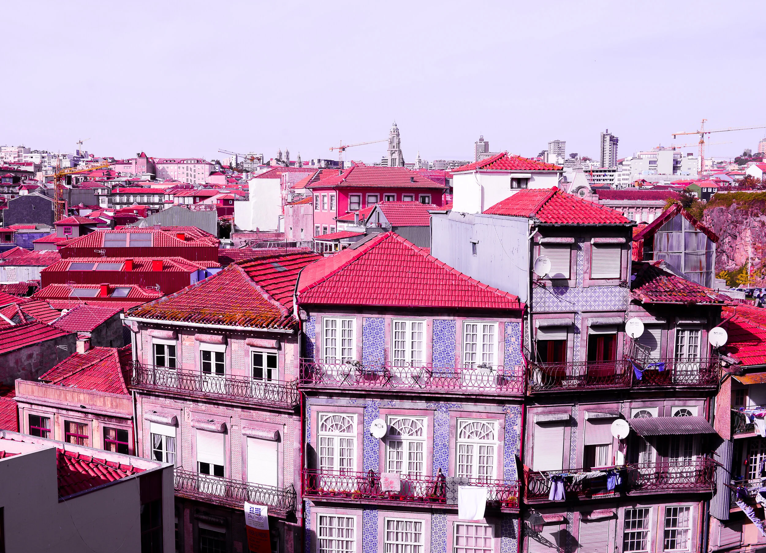 Pink Porto.jpg