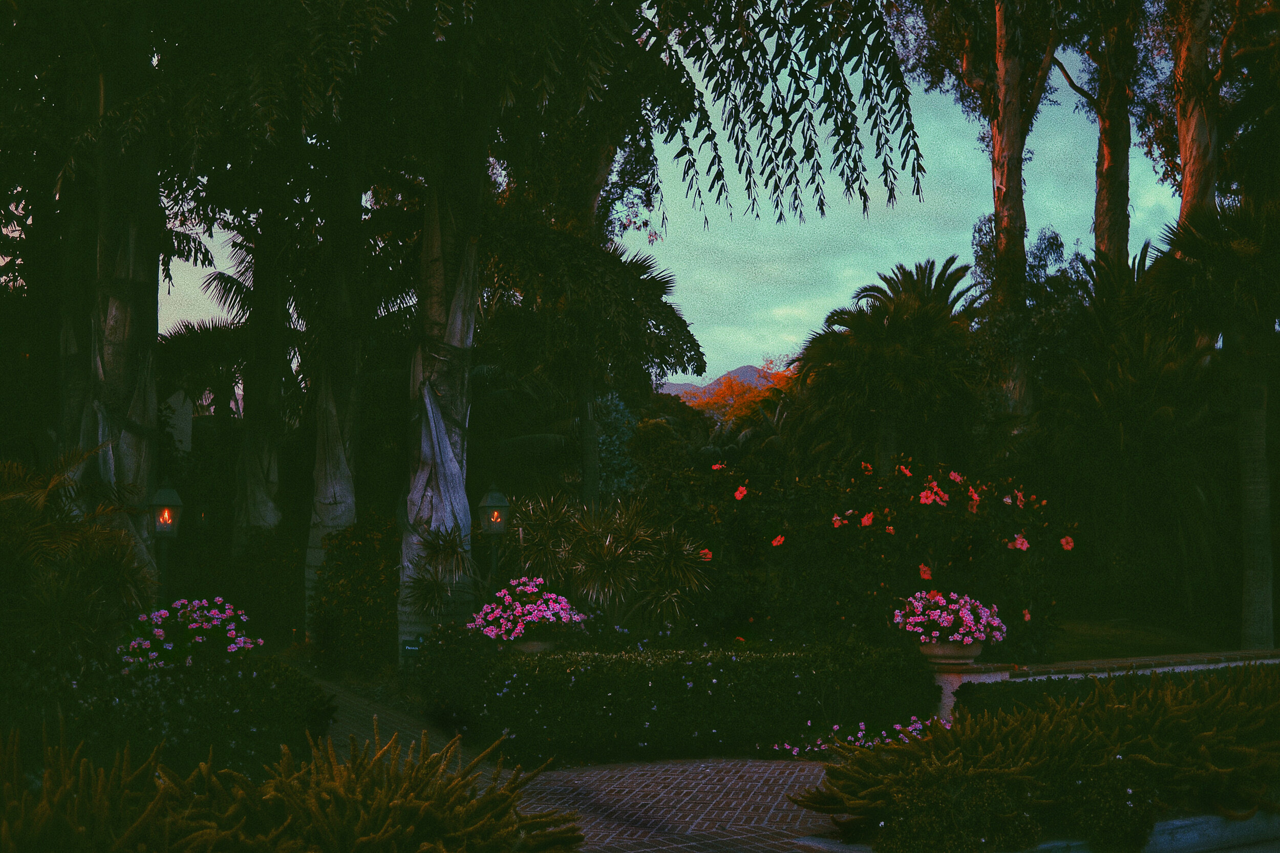 Paradise Garden.jpg
