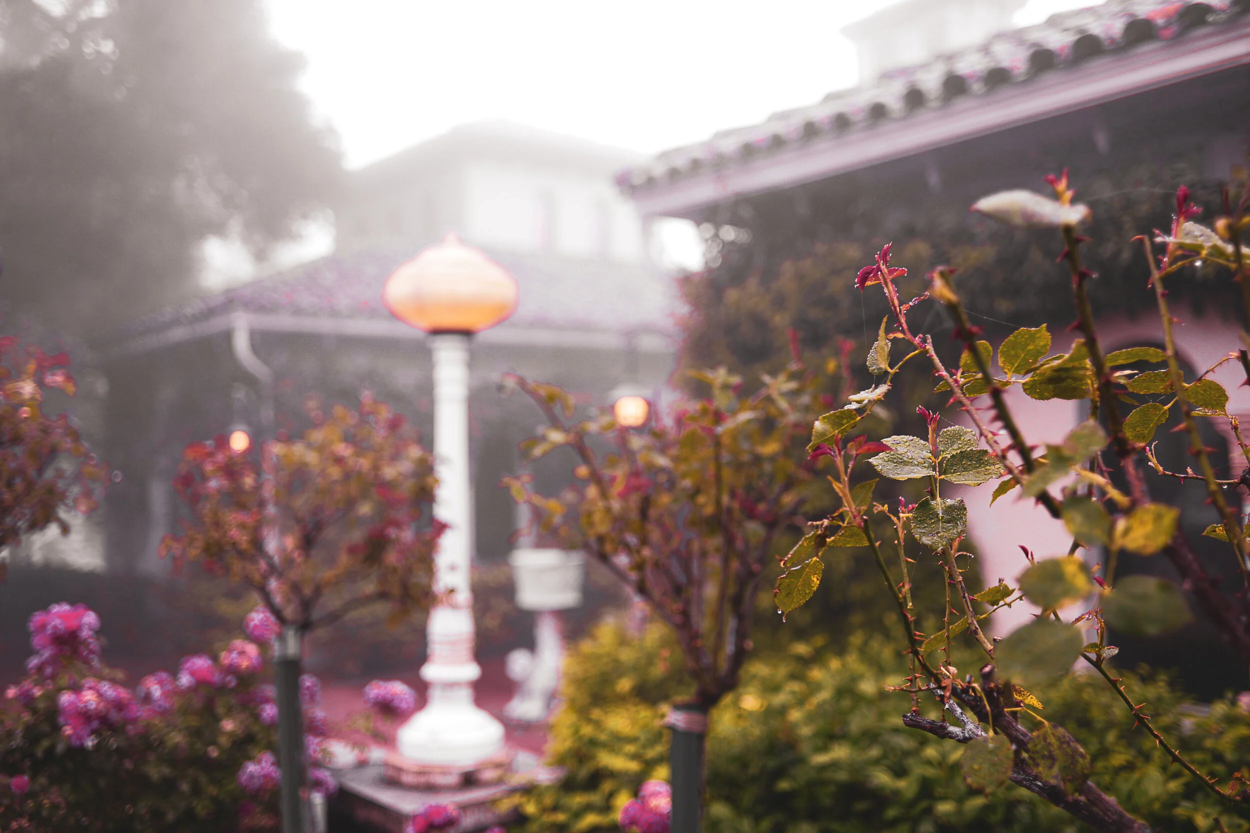 Heart Castle Garden - Pink.jpg