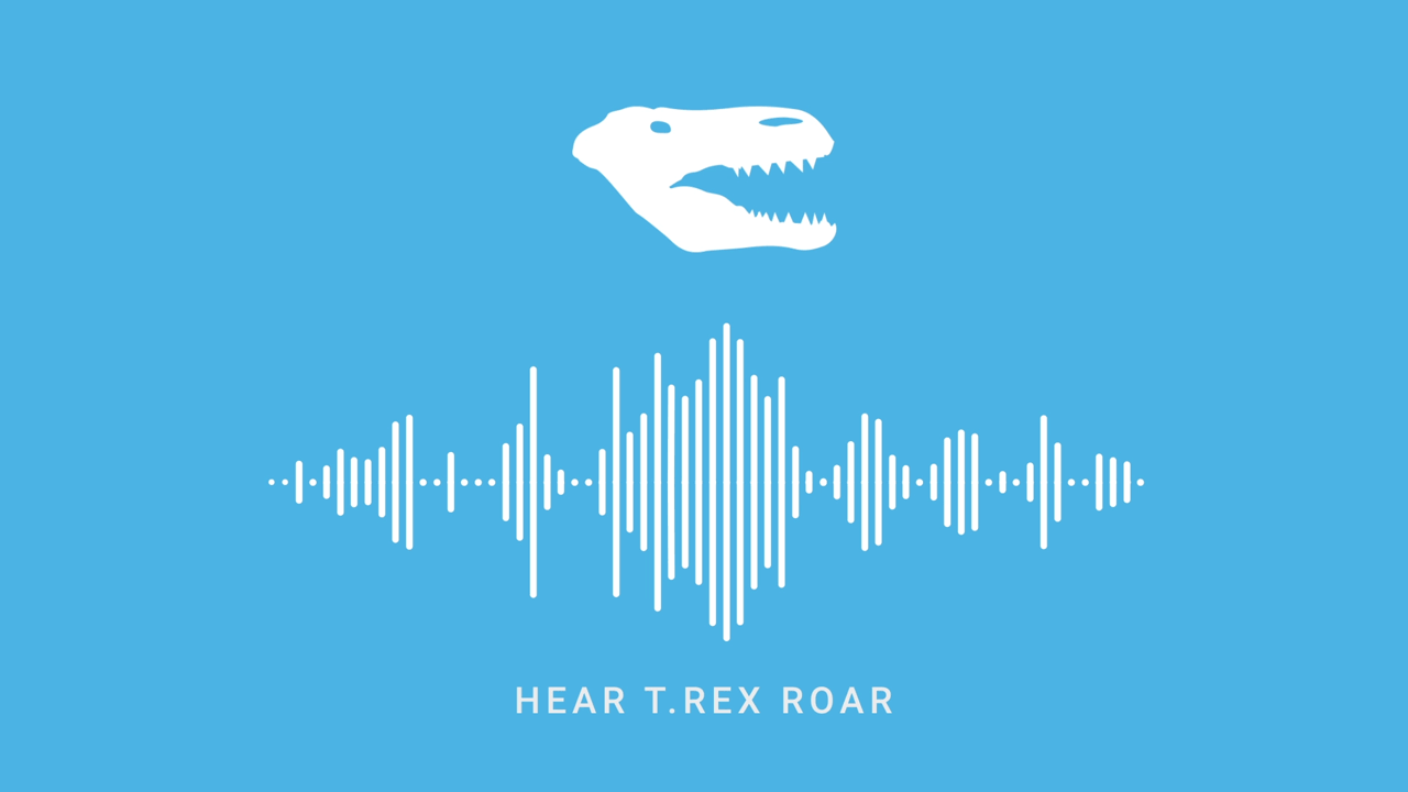 dinoforwebsite2.gif