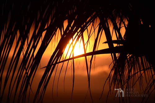 Big Island Hawaii- Sunset-2.jpg