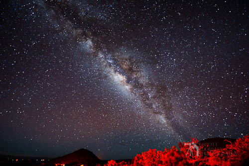 Milky Way- Mauna Kea w trees (2)-2.jpg