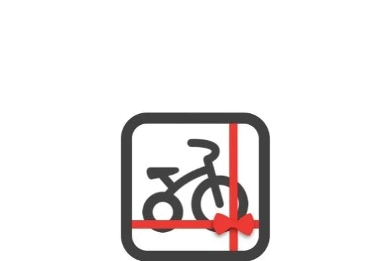 Bicycle Service, Brompton Folding Bikes 
