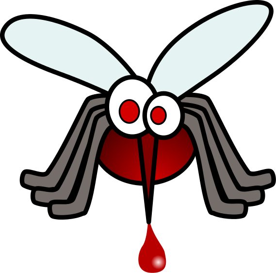 The Mosquito