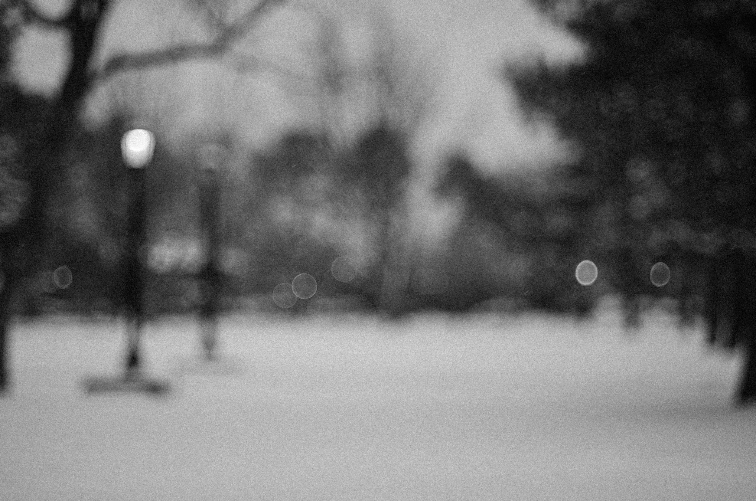 DSC_3637.jpg