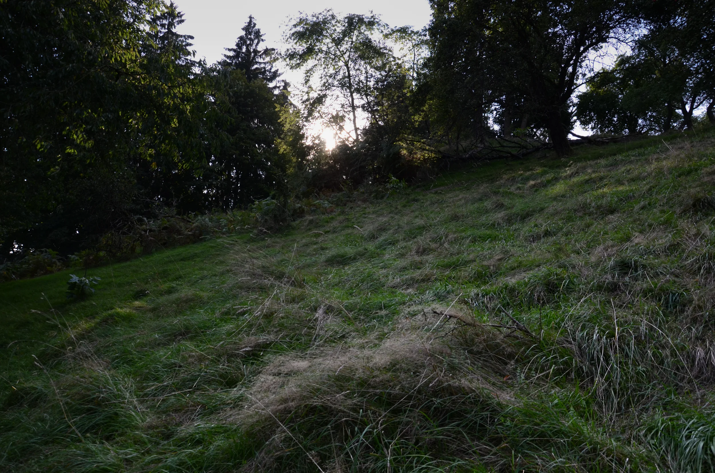 DSC_7878.jpg