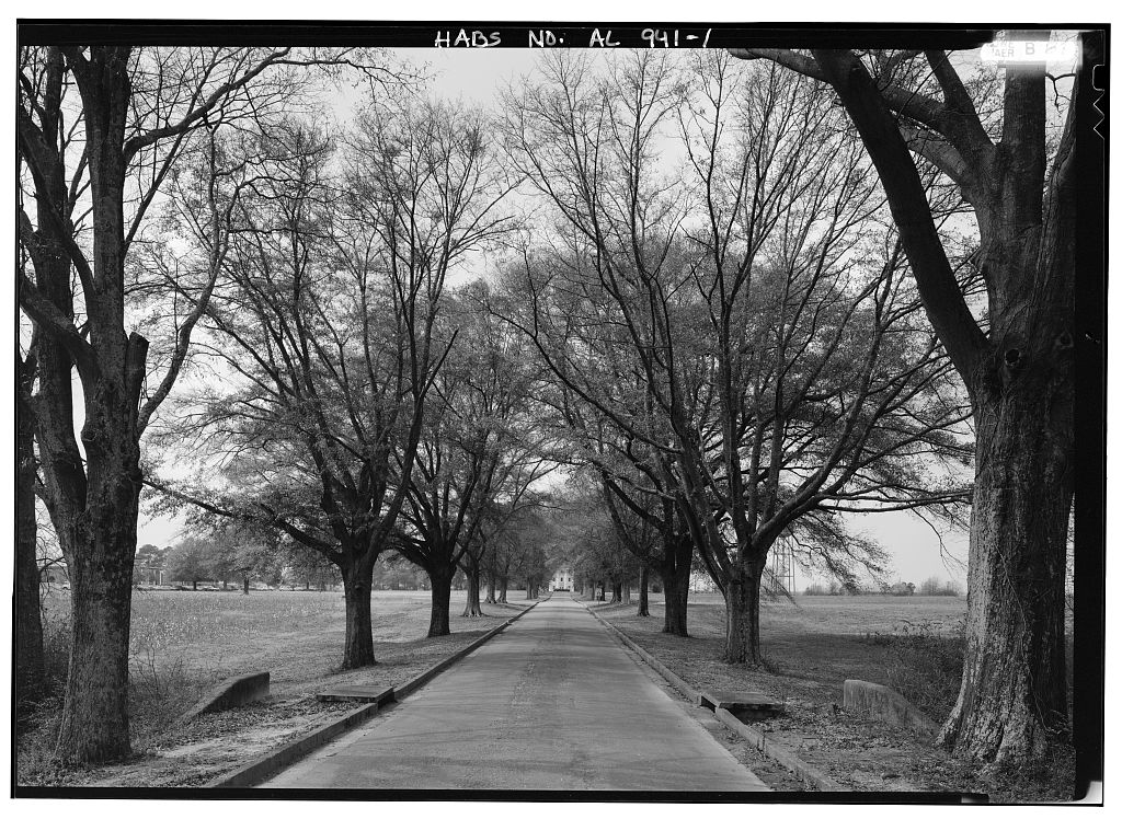 This 1991 photograph by Jet Lowe of the oak lined lane is only photograph showing the Jemison Center in the HABS record. Reproduced here as it is in the public domain.