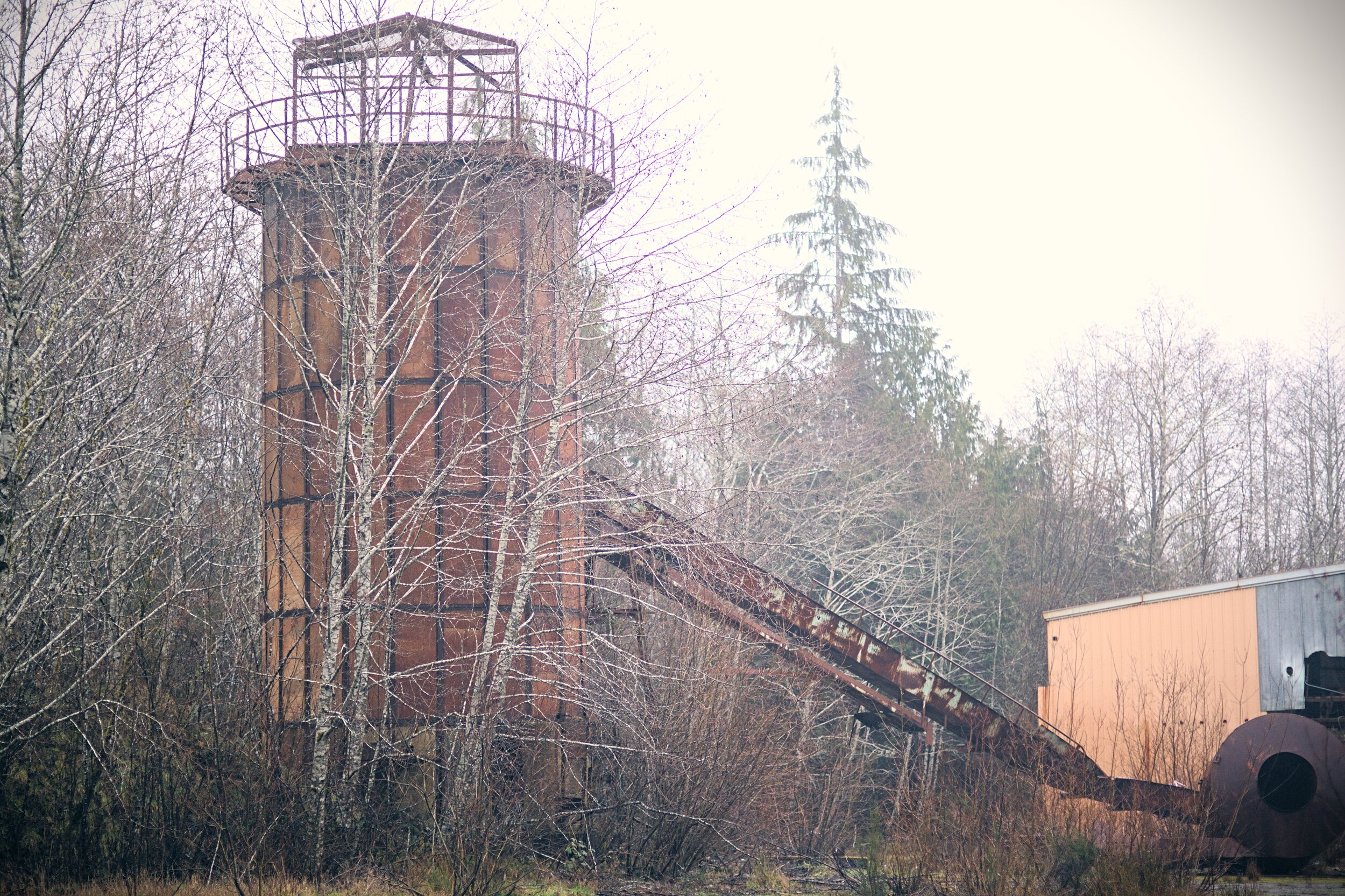 Quinault Mill [24134].jpeg
