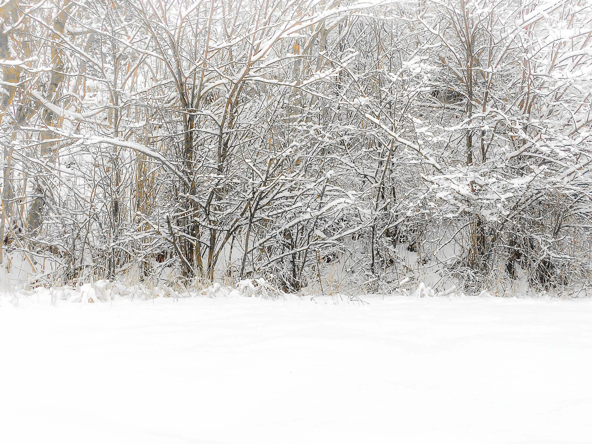 The Geometry of Snow