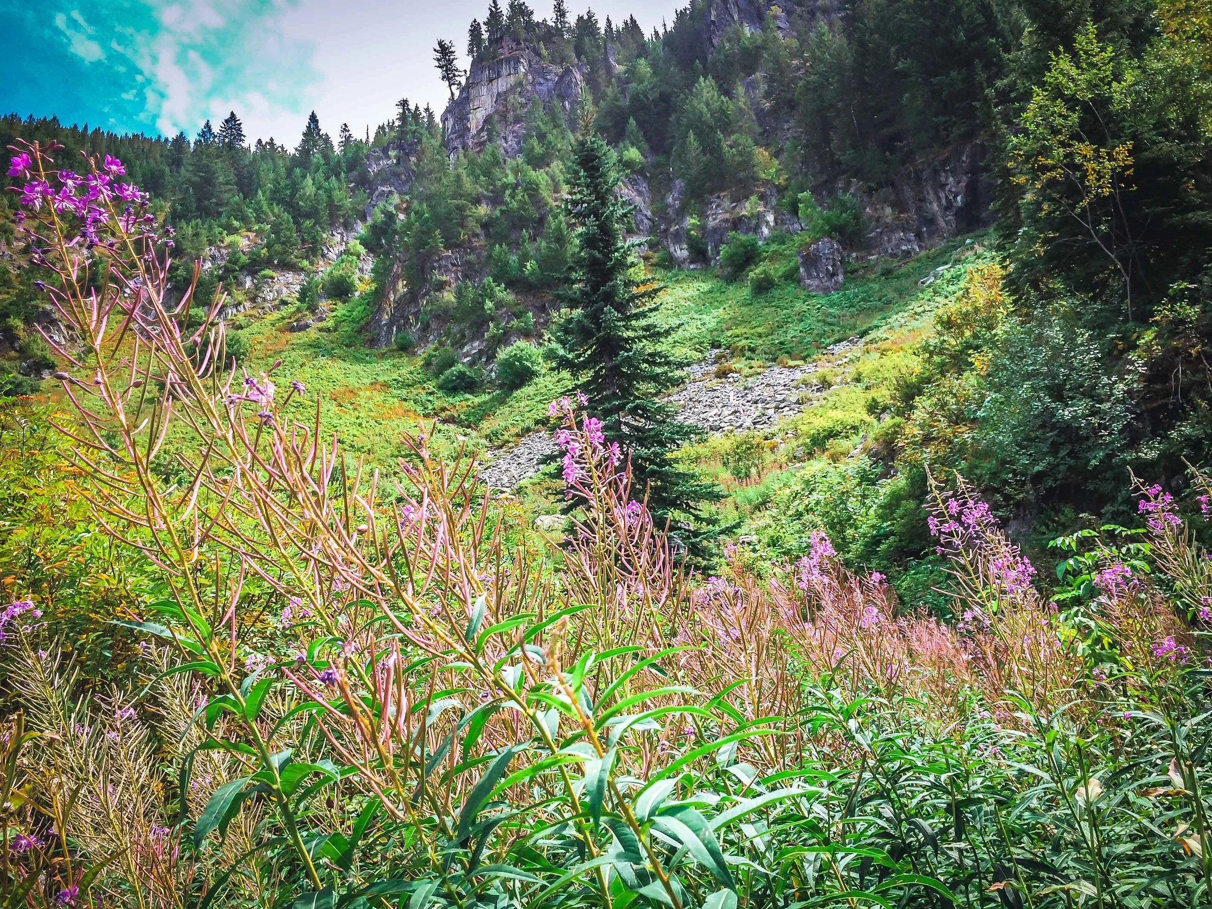 Stevens Lake - iPhone - danscape (32 of 69).jpg