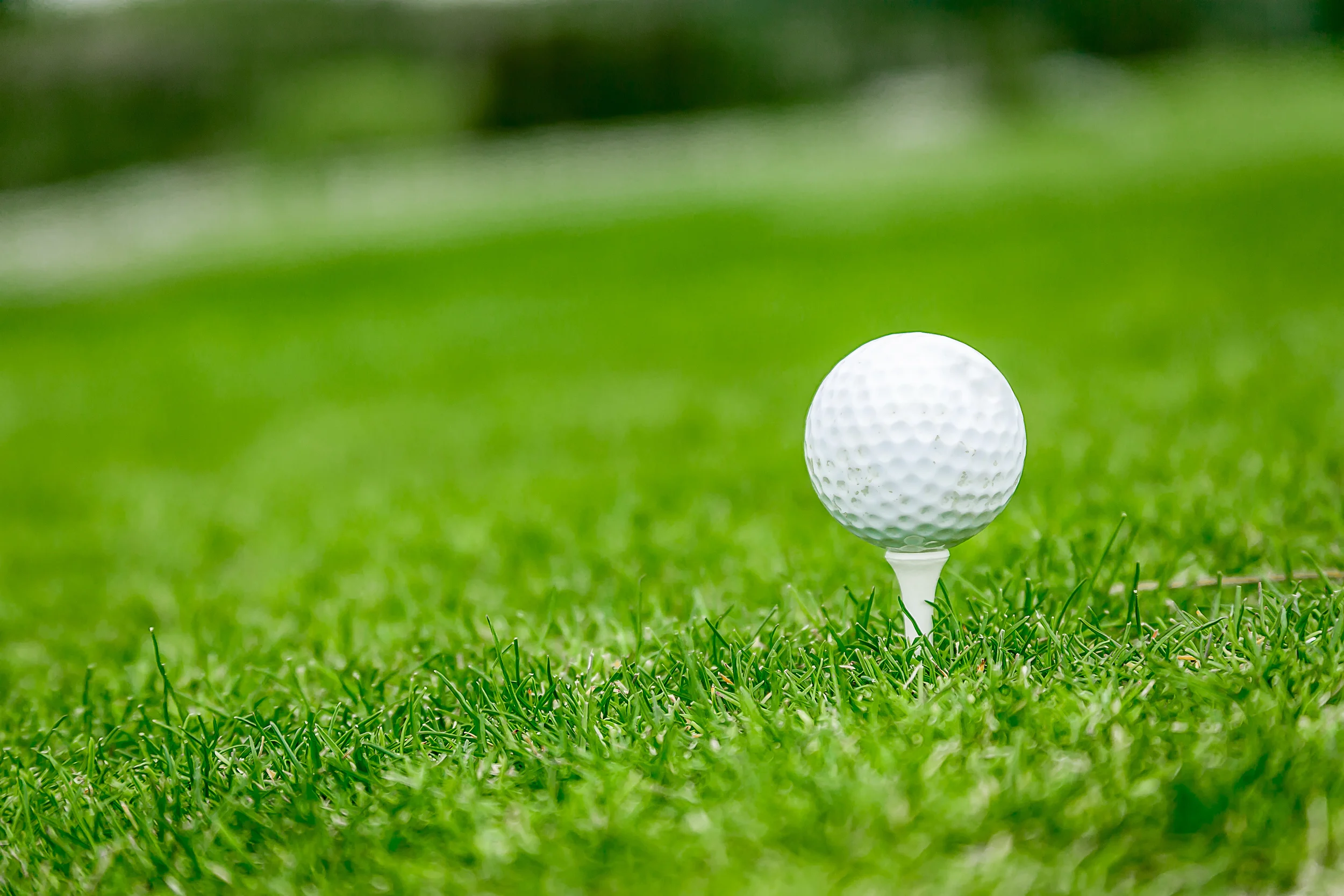 Ladies Foursome - Modern - extras - danscape-127.jpg