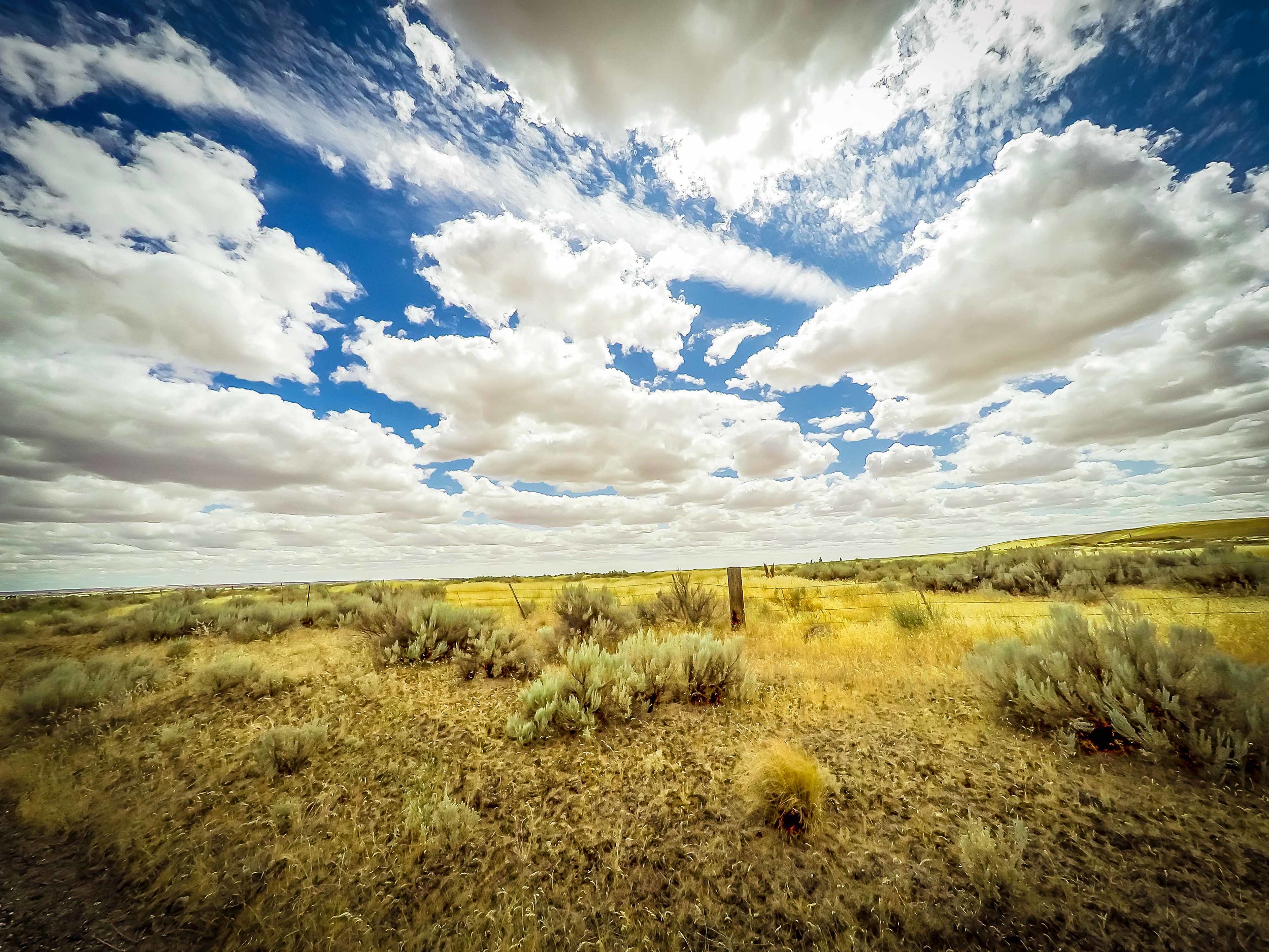 Sprague - GoPro - danscape (27 of 95).jpg