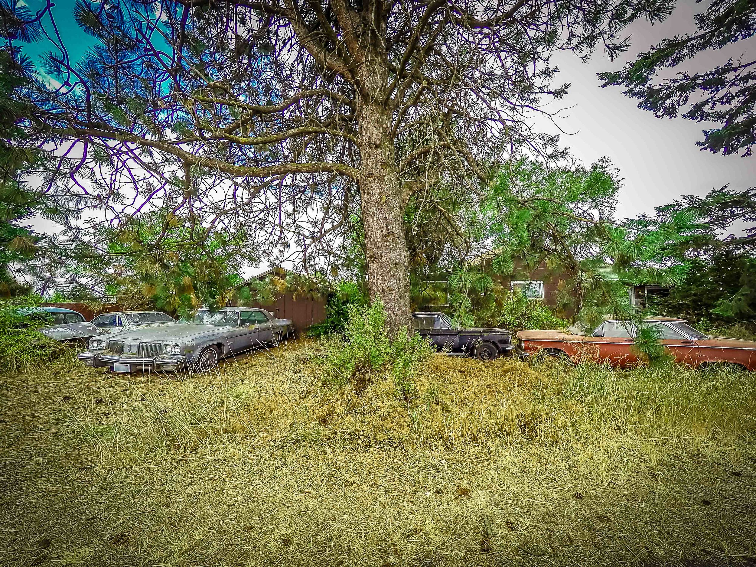 Sprague - GoPro - danscape (56 of 95).jpg