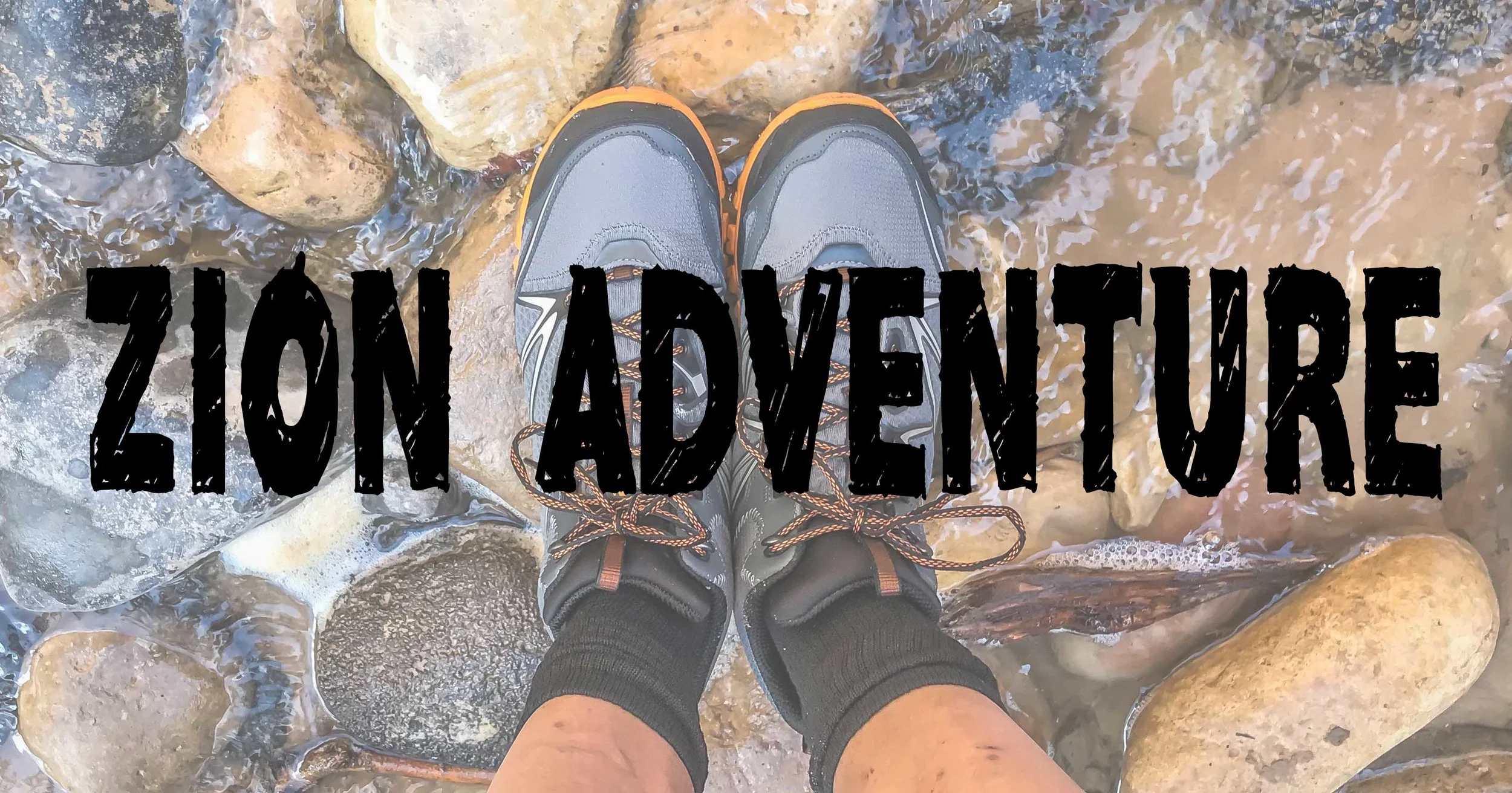 And now ... Zion National Park!