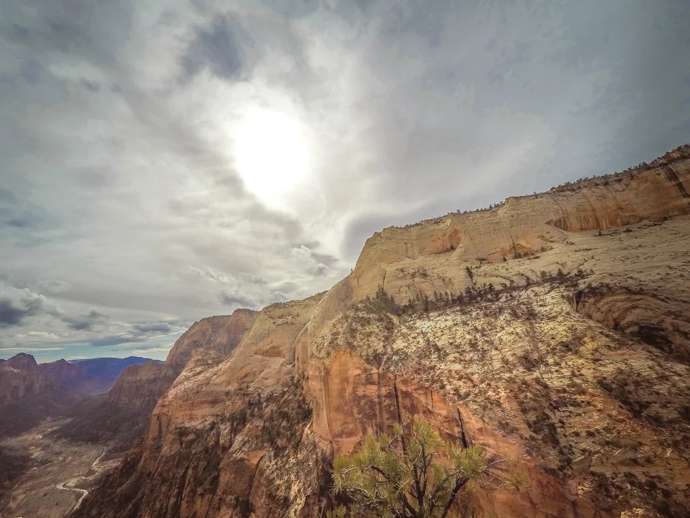 Angels Landing - danscape - GoPro (27 of 46).jpg