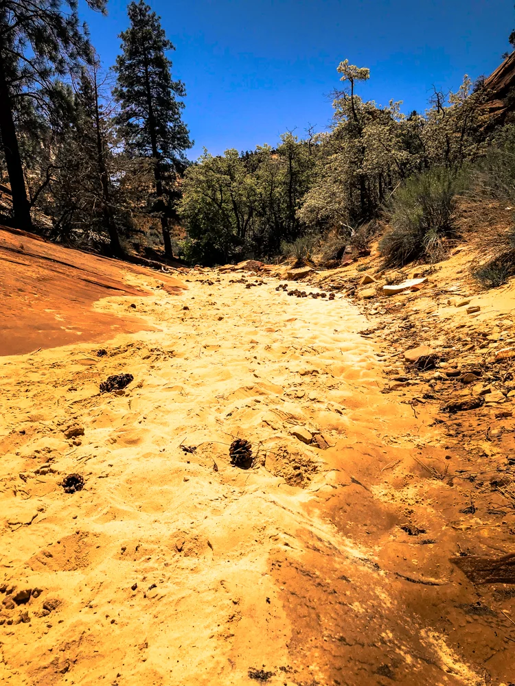Zion.Petroglyphs.danscape (12 of 14).jpg