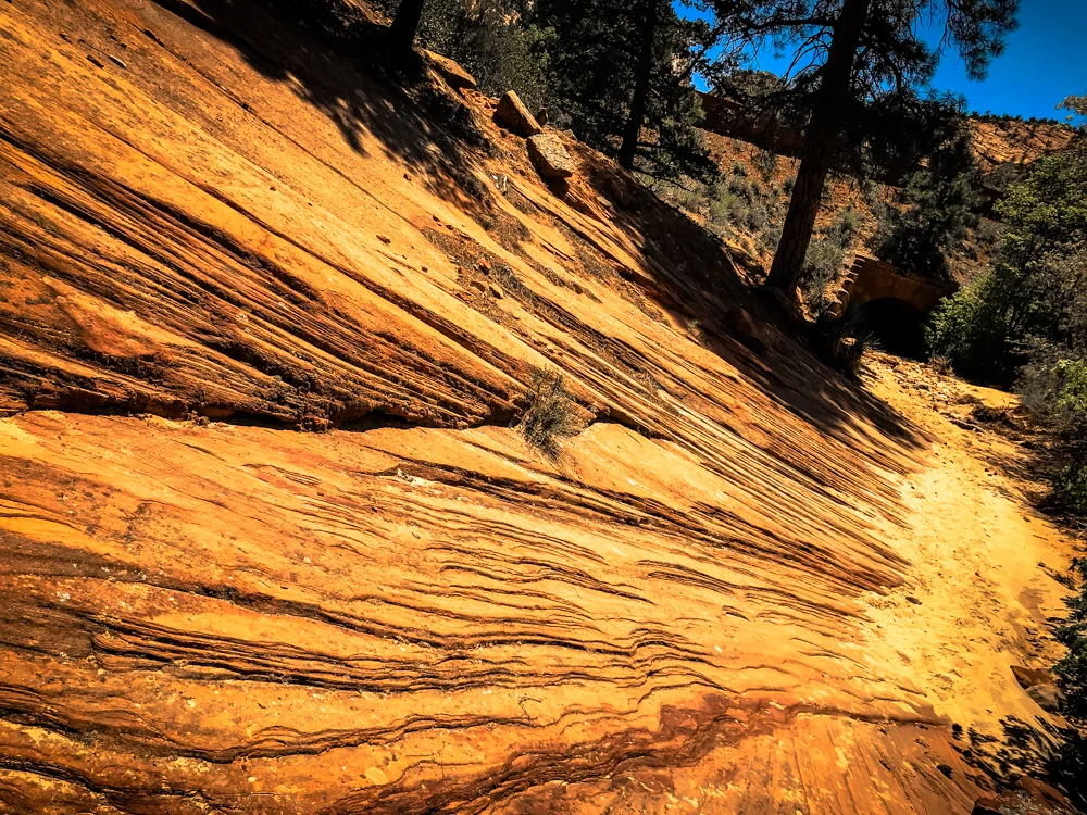 Zion.Petroglyphs.danscape (13 of 14).jpg