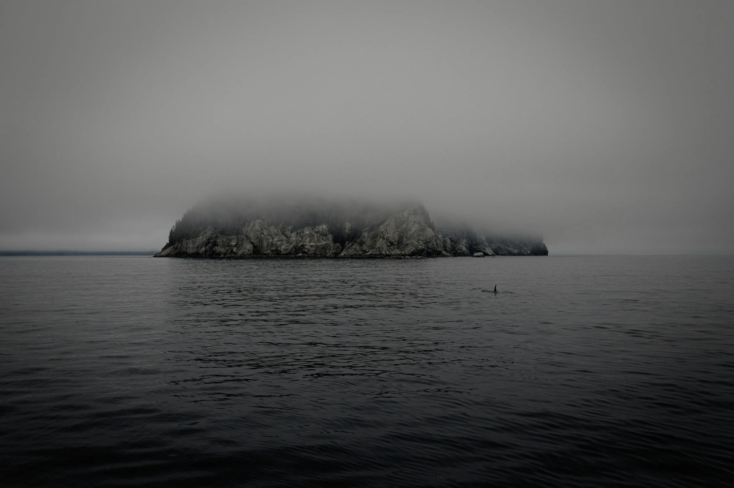 Seaworthy