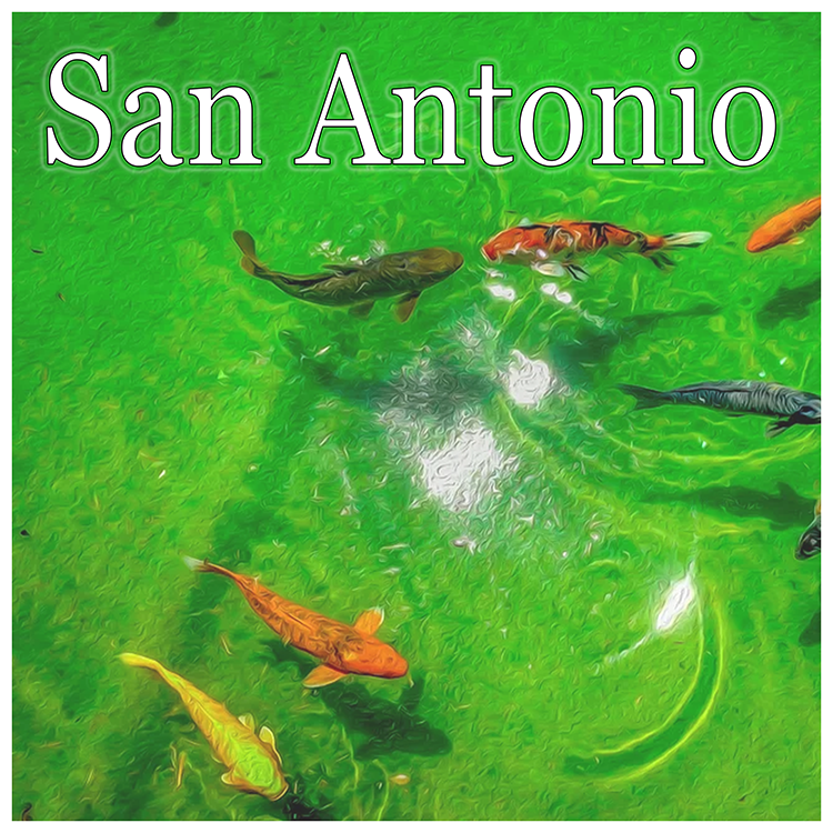 San Antonio square.png
