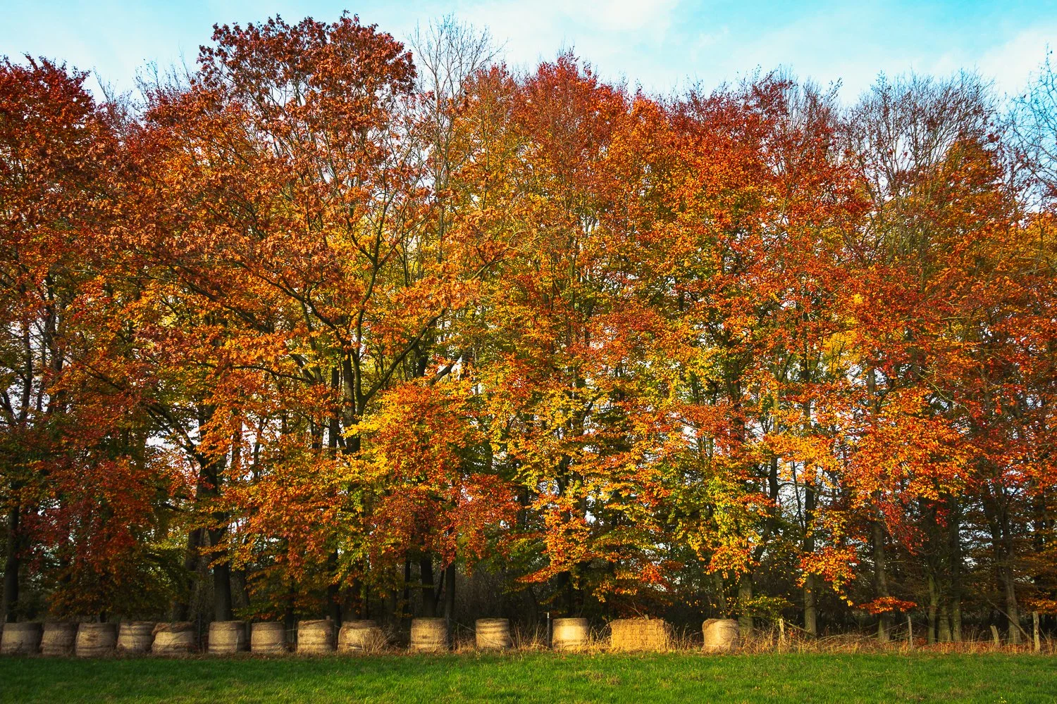 Asendorf 2 (7 of 62).jpg