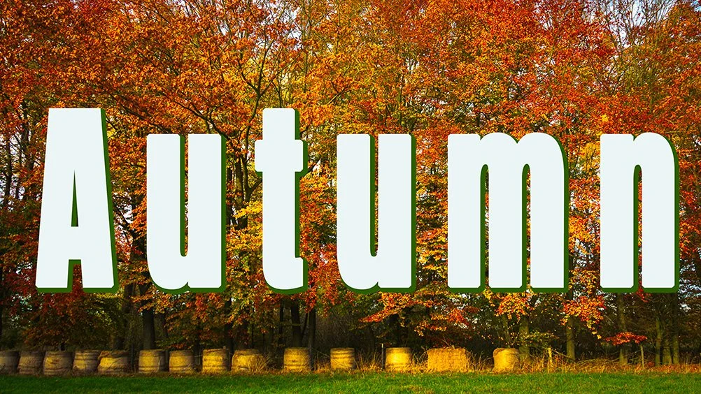 Asendorf Autumn