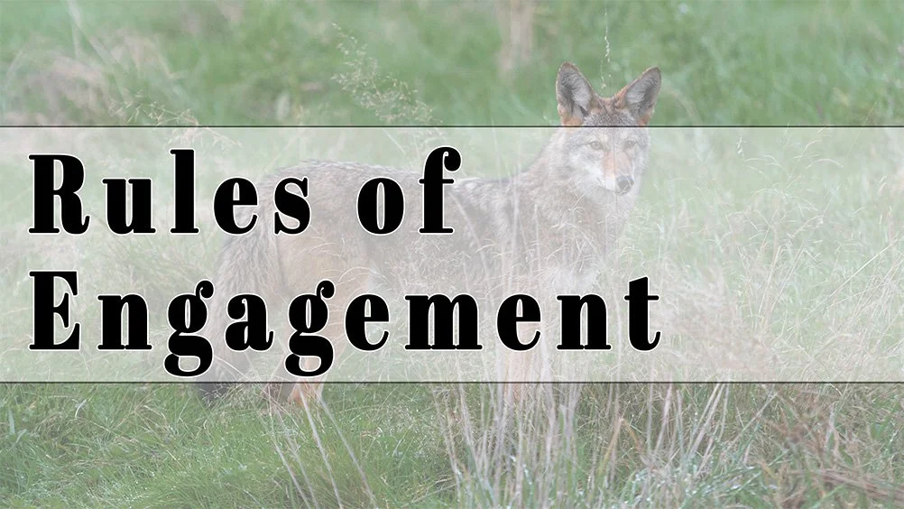 Rules of Engagement