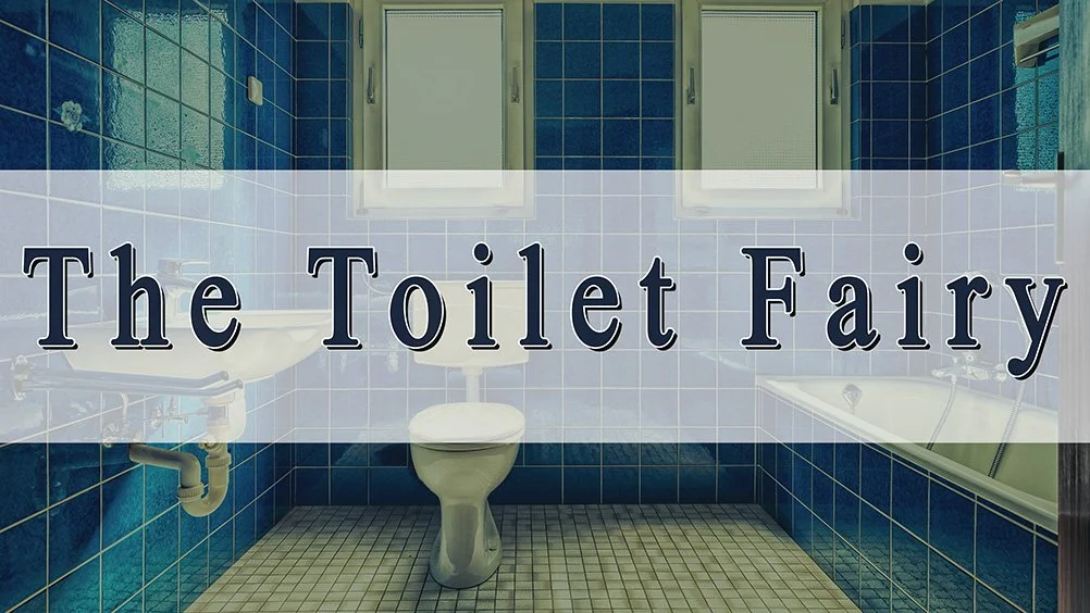 The Toilet Fairy