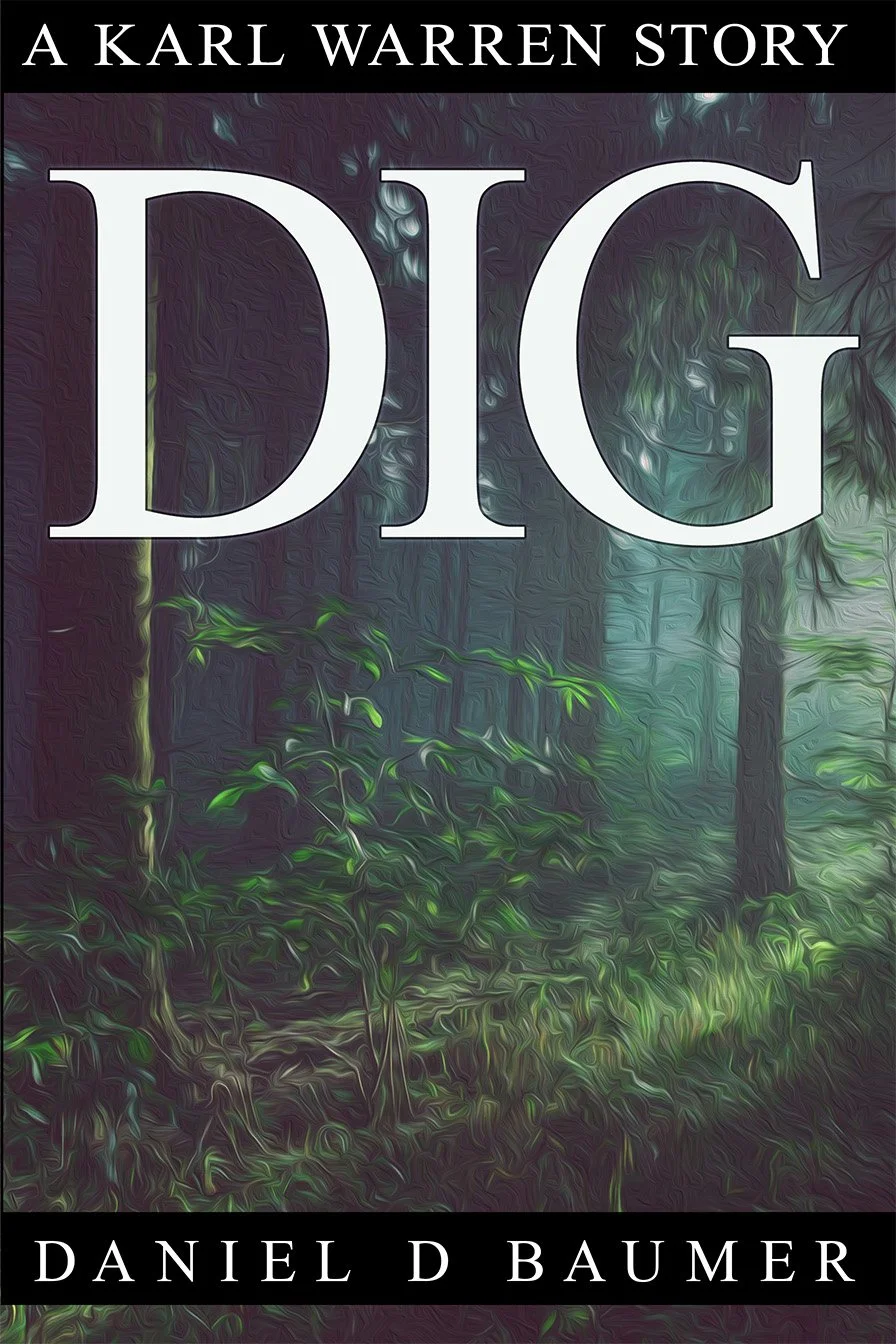 6x9 Dig promo.jpg