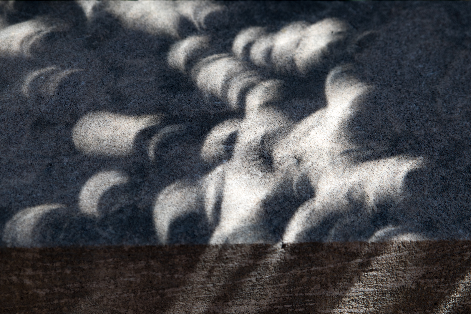 965A0413.jpg