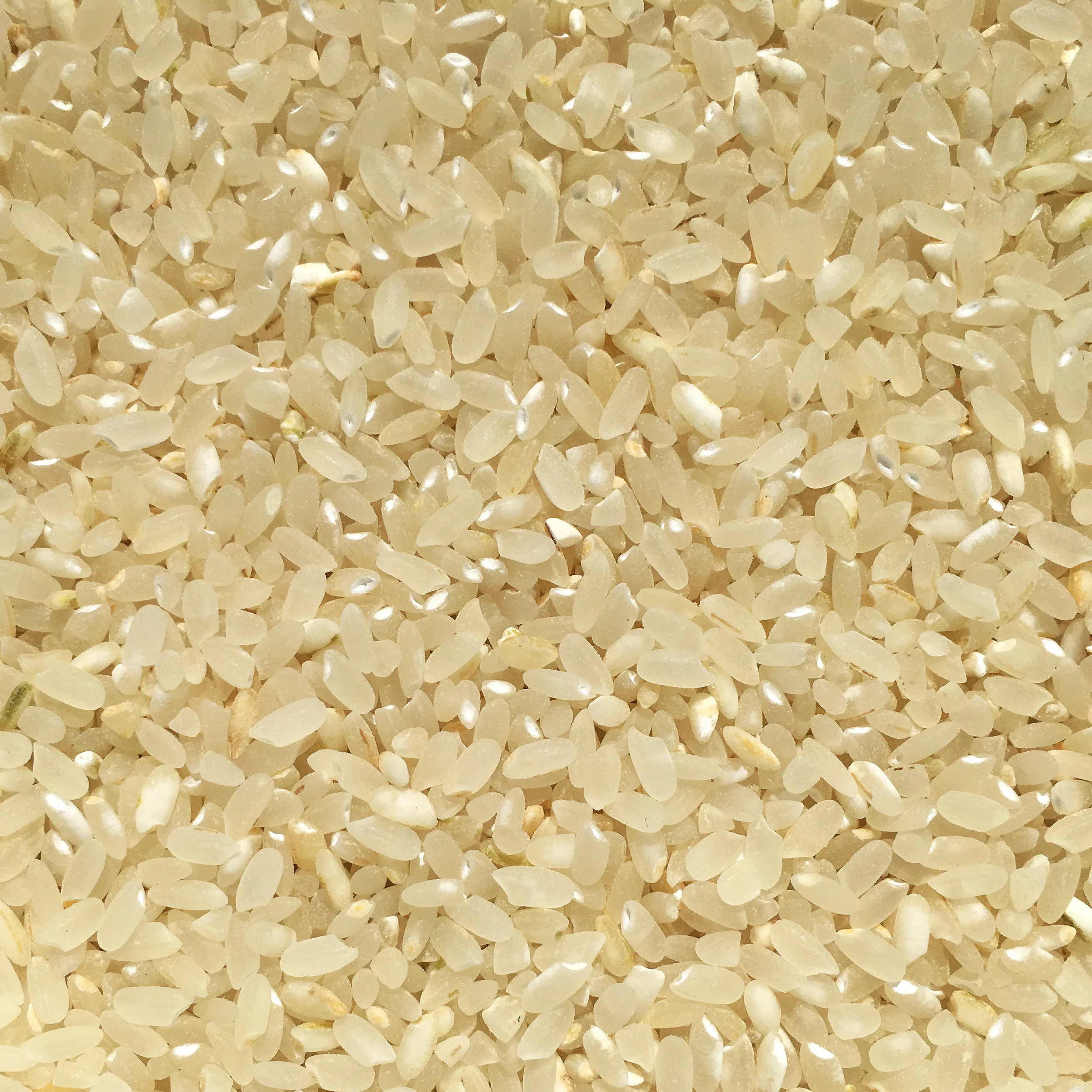Chico Rice Fresh Organic California Rice