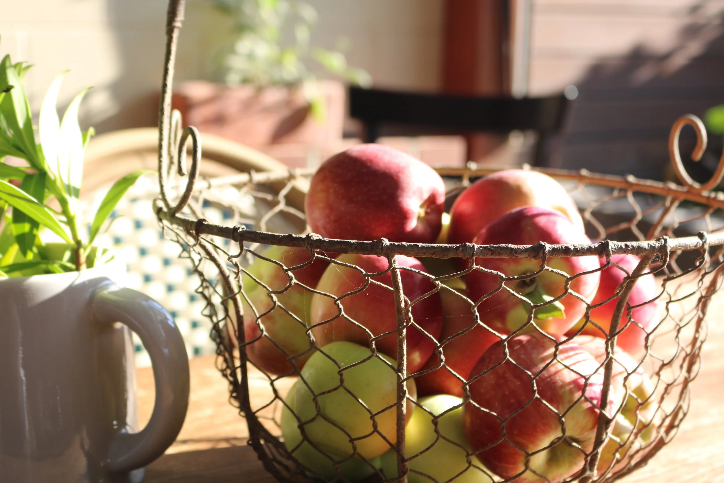 produce from the farm.jpg