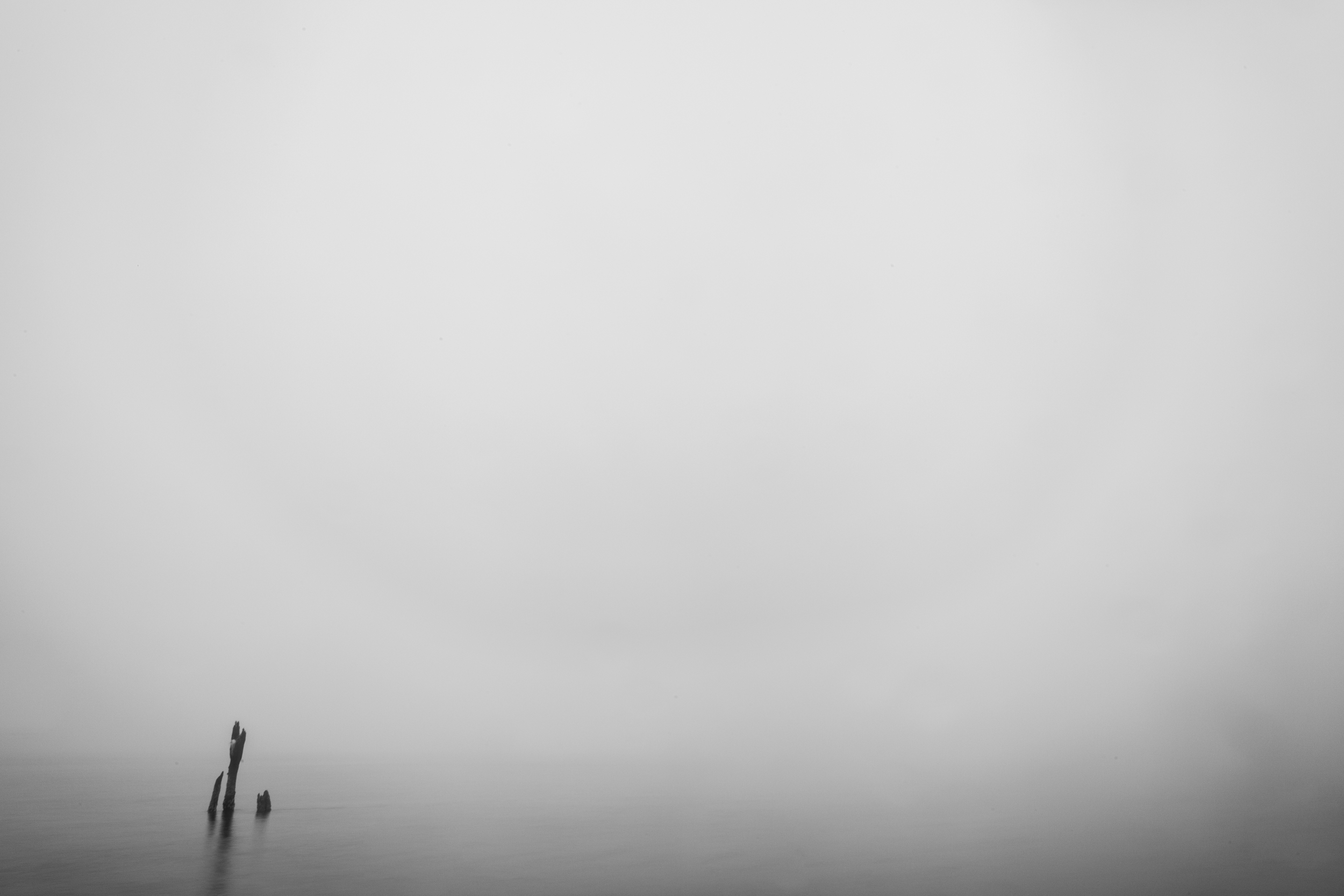 foggy-piers_9003183308_o.jpg