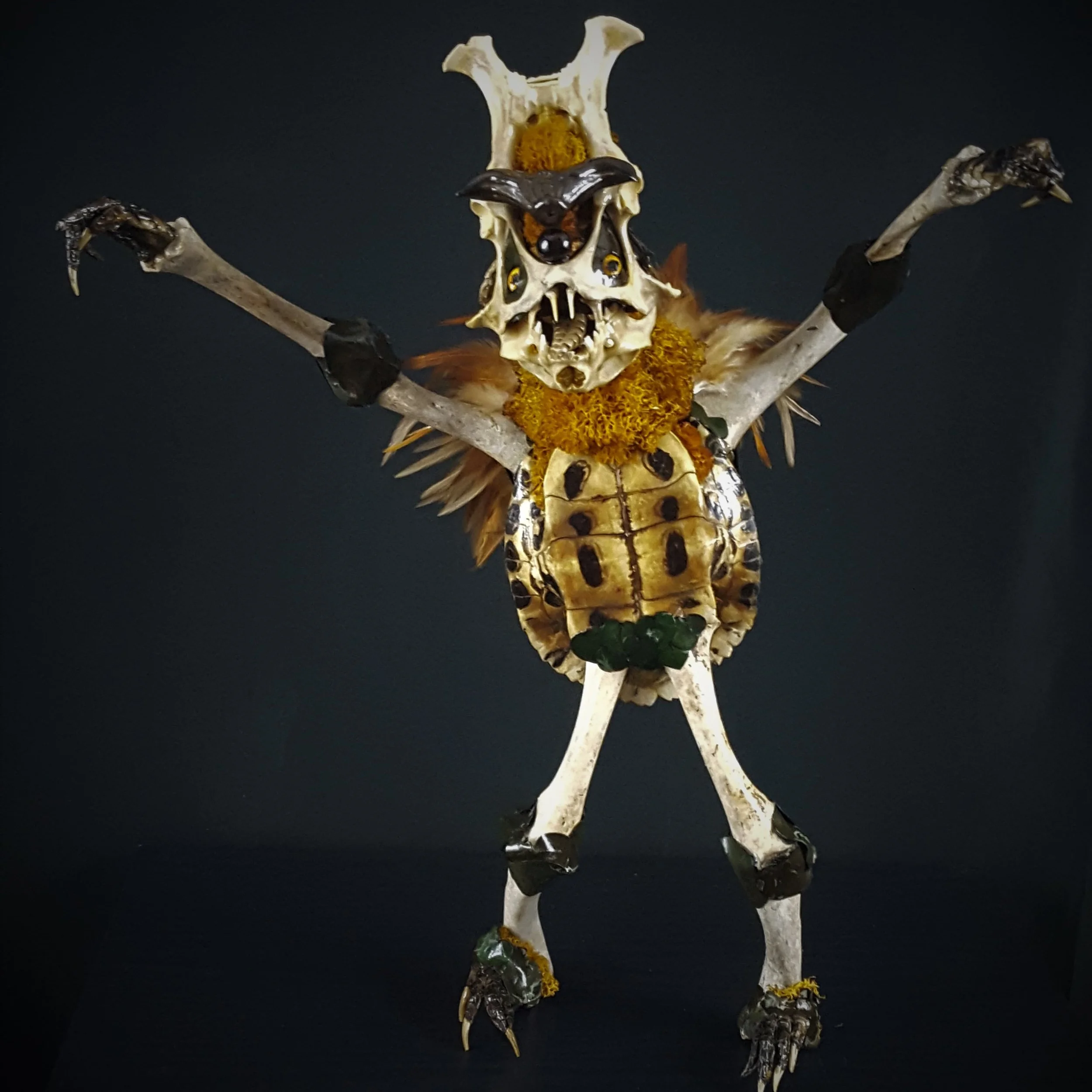 Torga+01.jpg