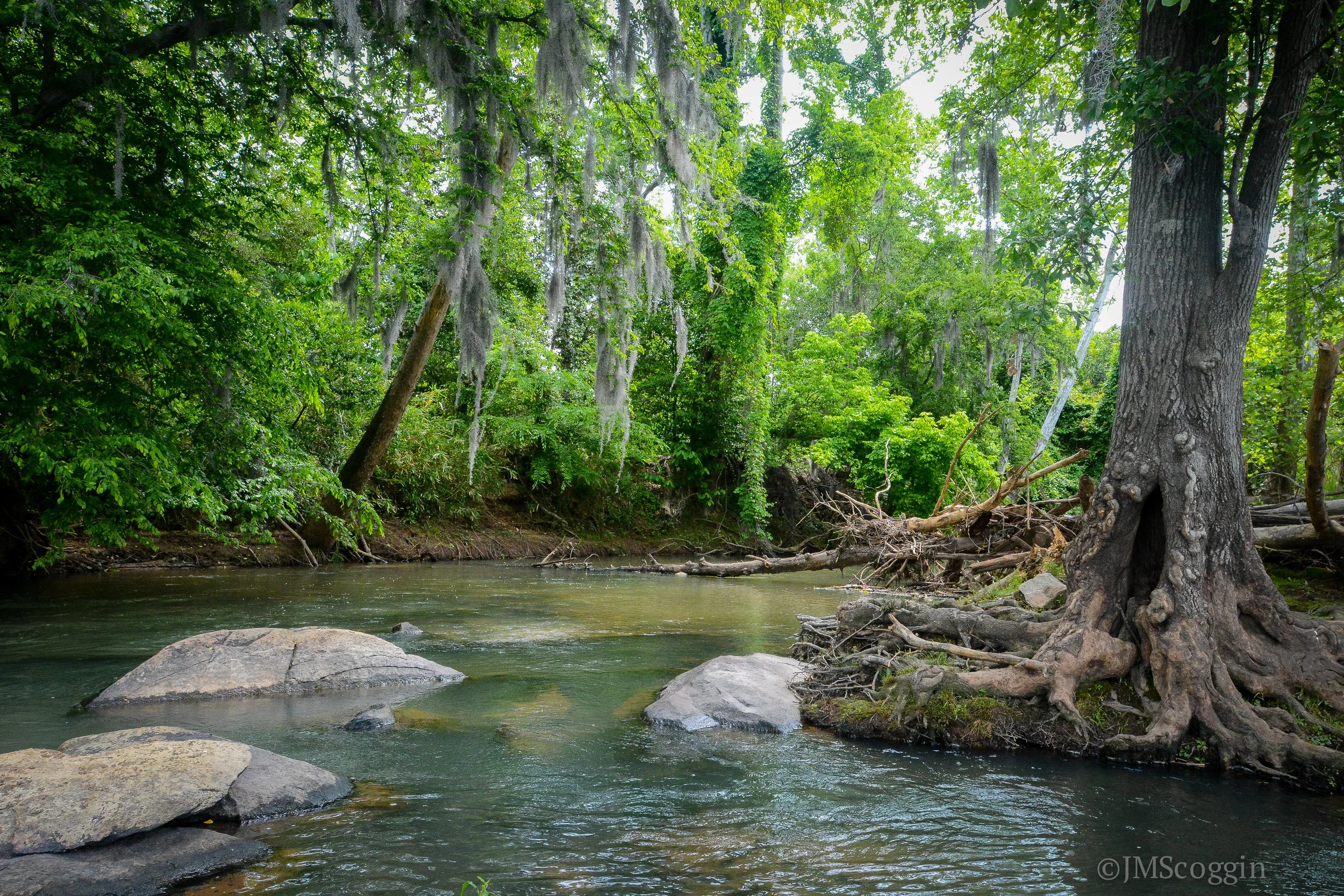 DSC_9477.jpg