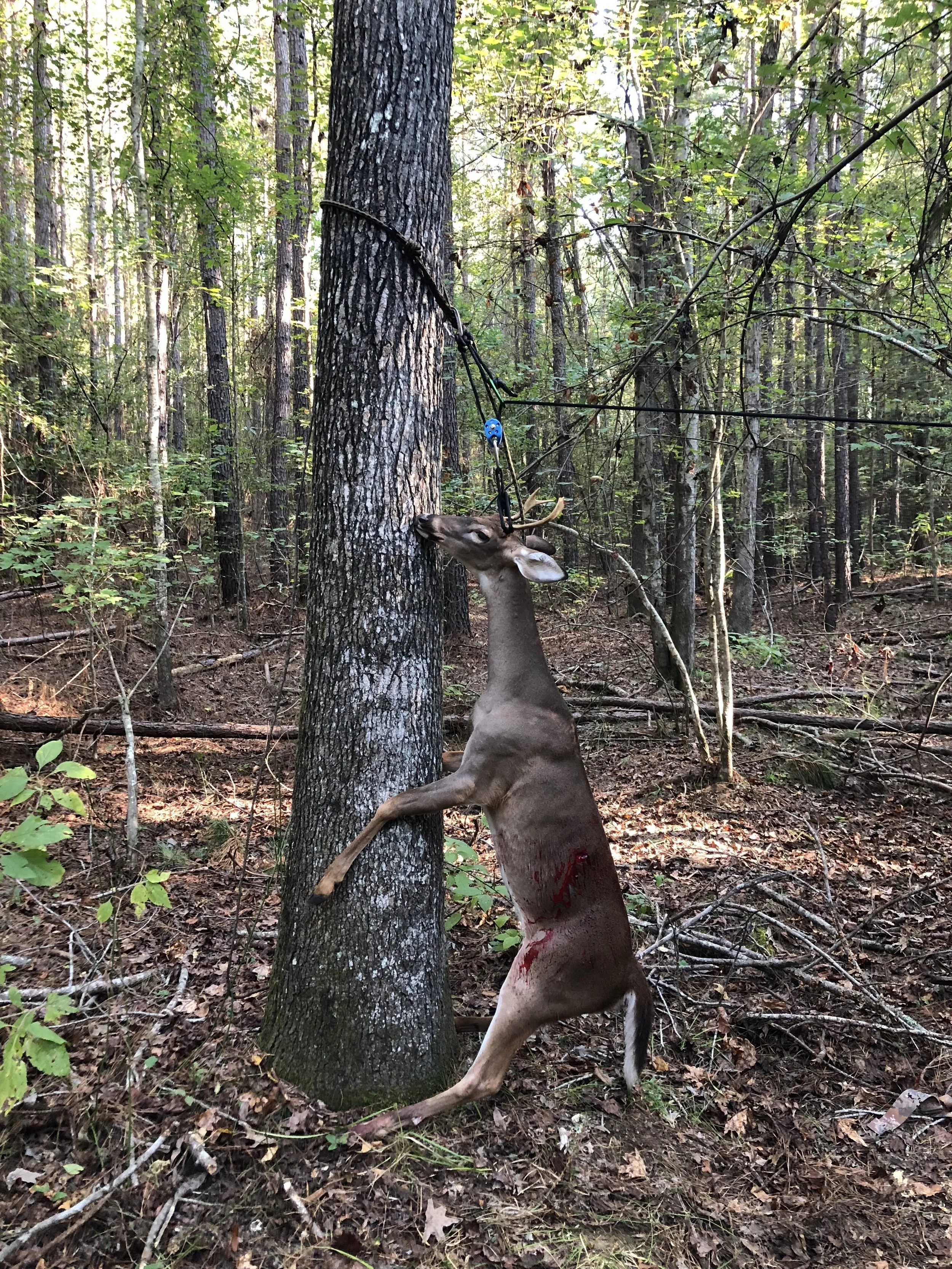 This hoist system saves my back….