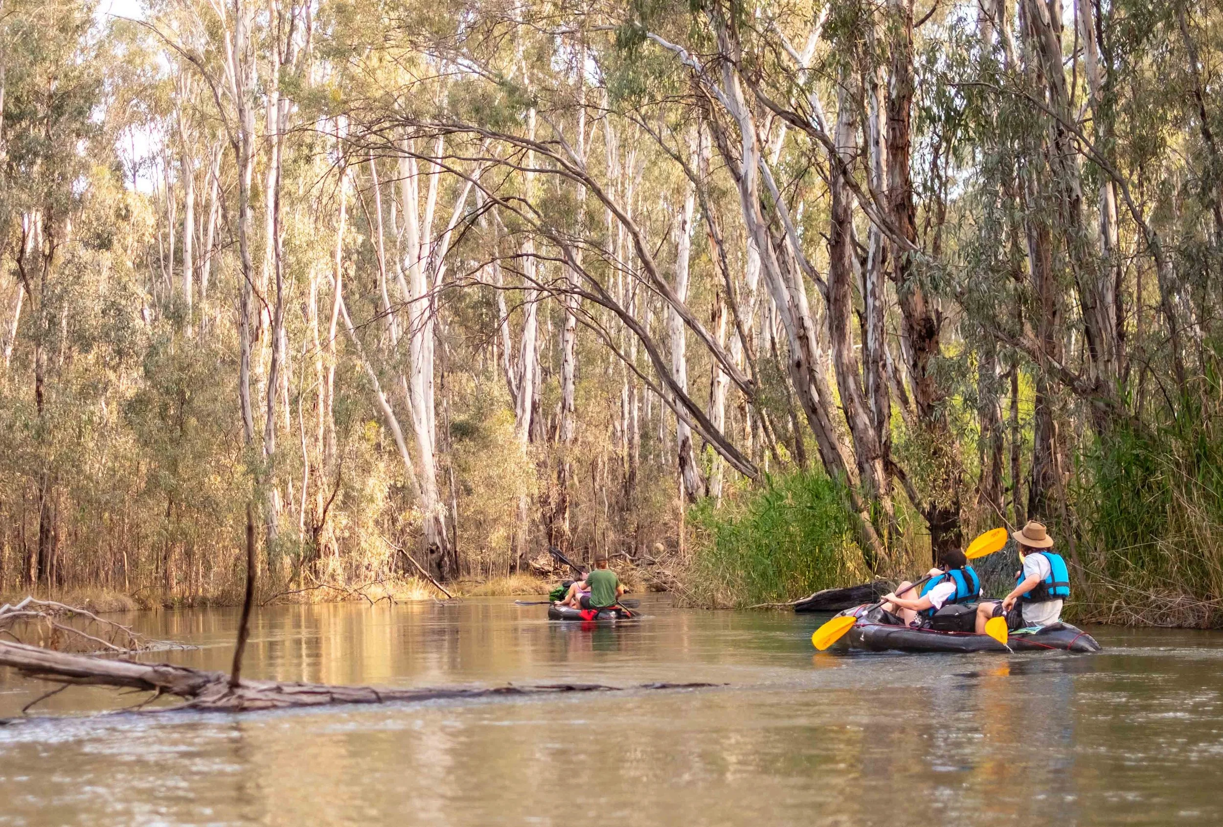 packrafting-murray-river-red-gum-forest-victoria-pack-raft-australia.jpg