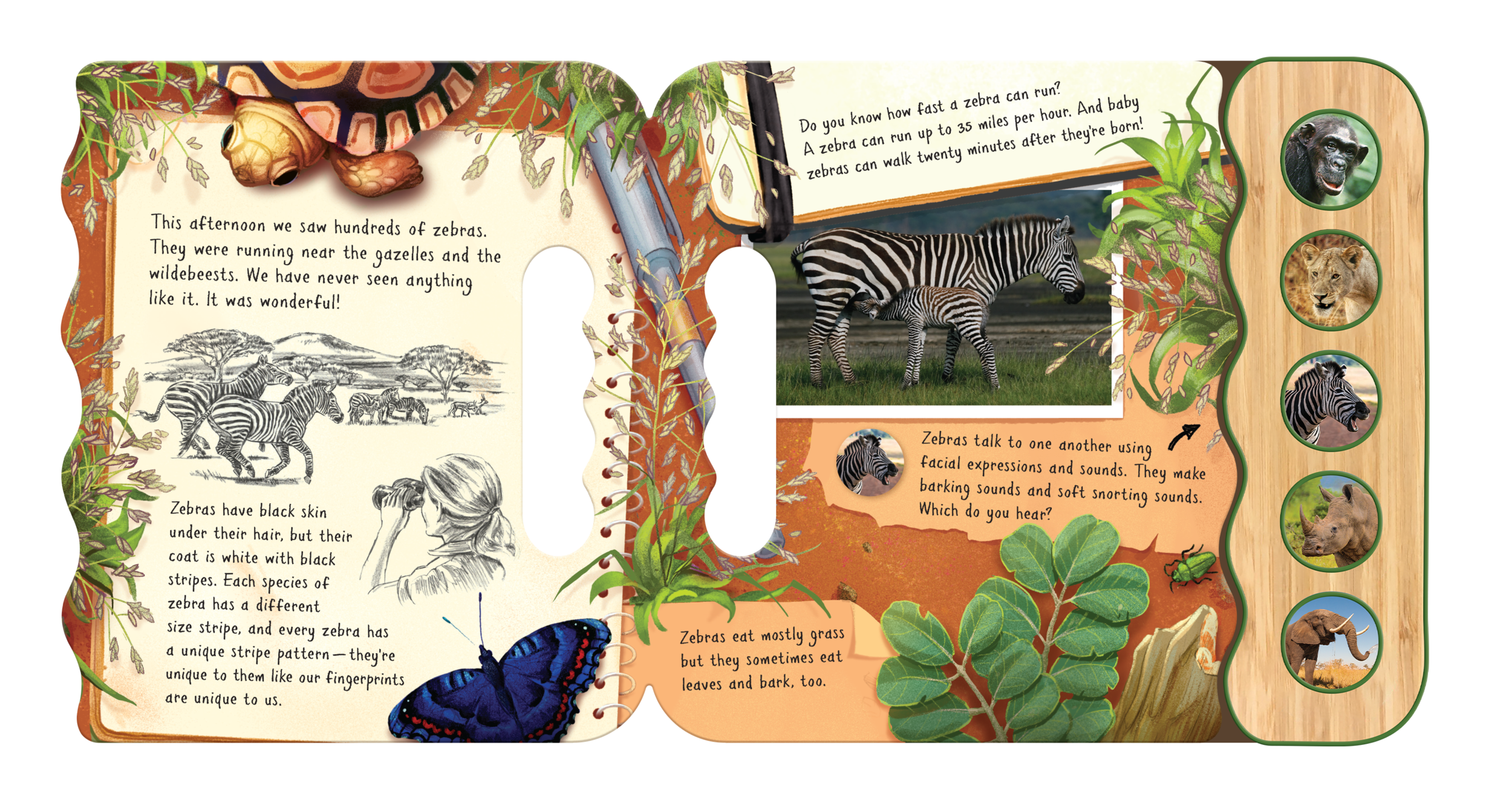 1006400 SampleSpread2.png