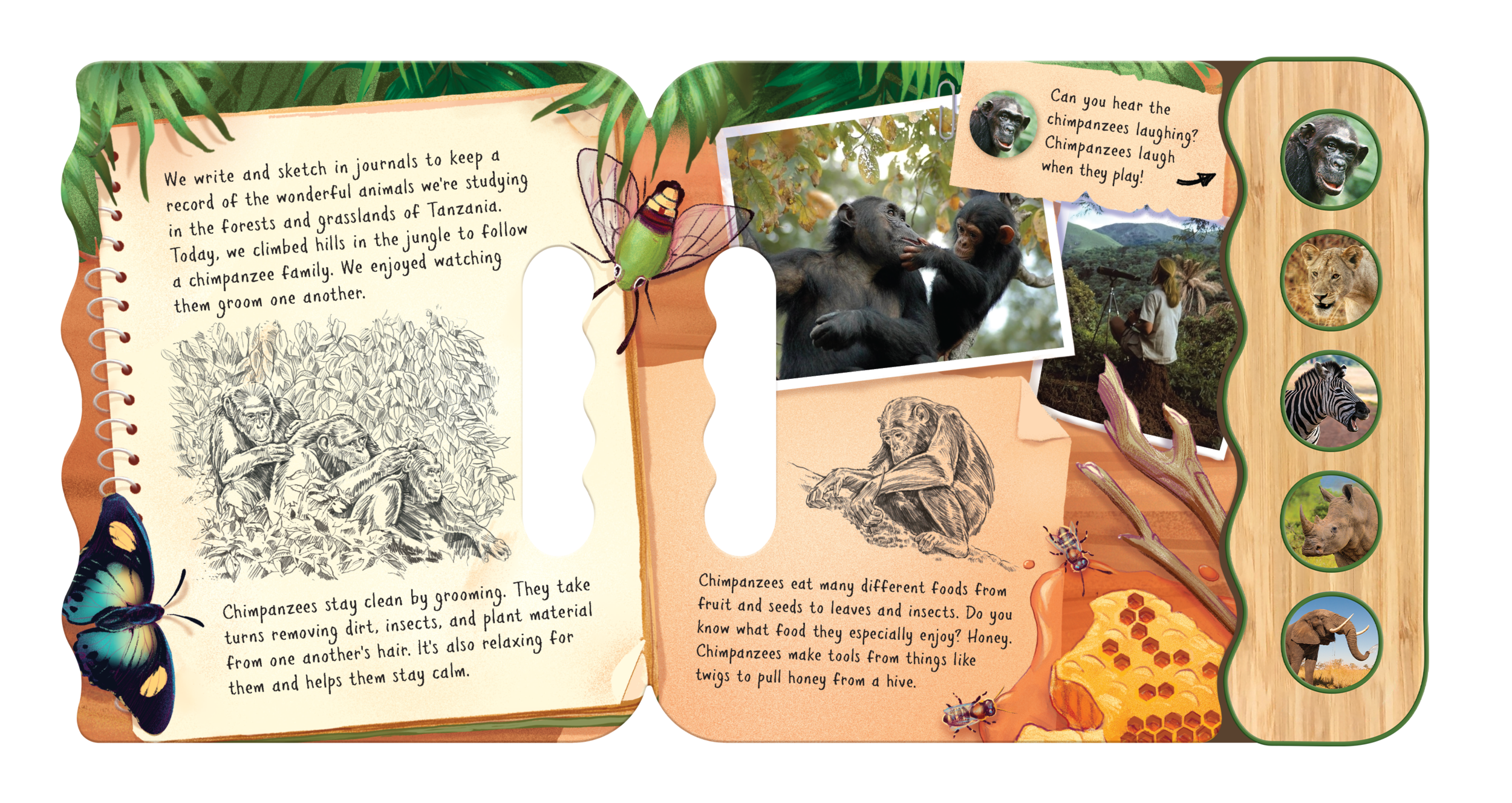 1006400 SampleSpread1.png