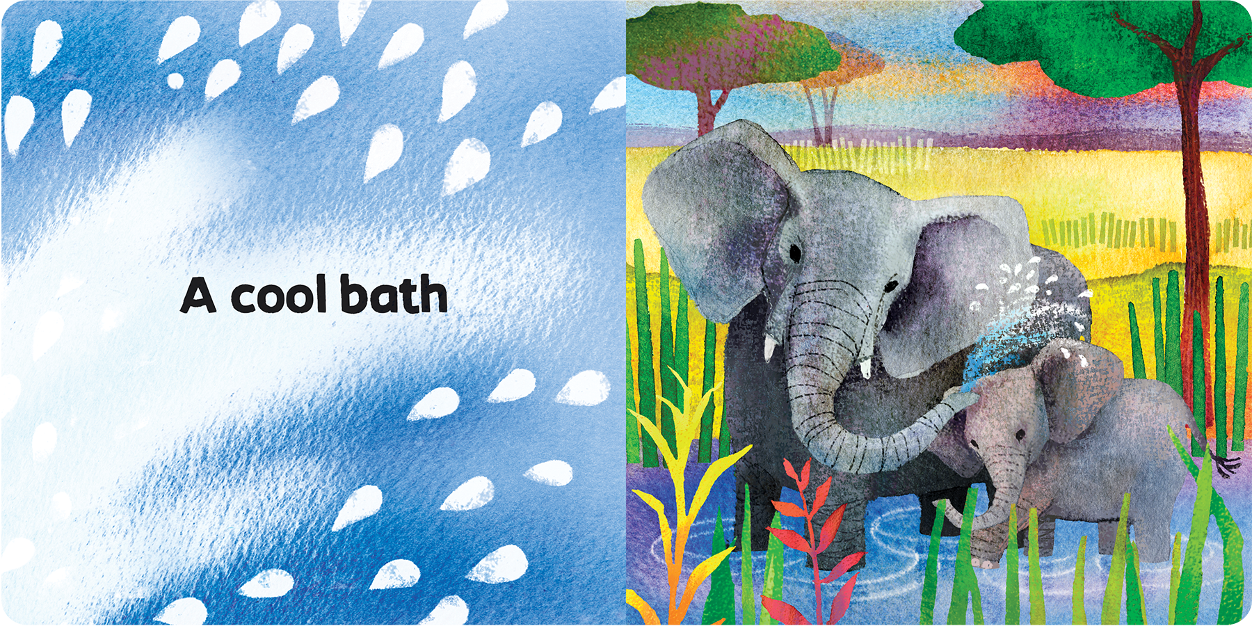 1006330 BBS6 JGICare Spread3.png