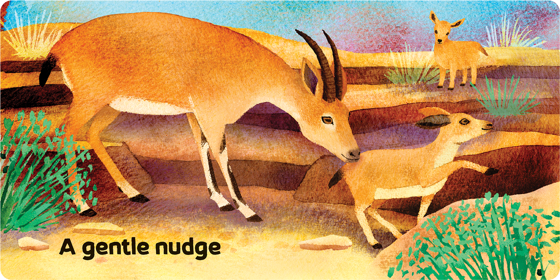 1006330 BBS6 JGICare Spread4.png