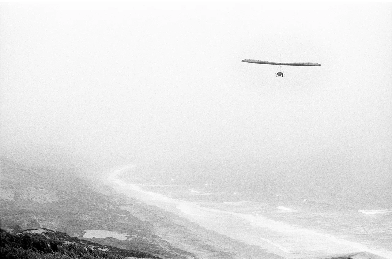 SanFranBirdPlaneJA.jpg