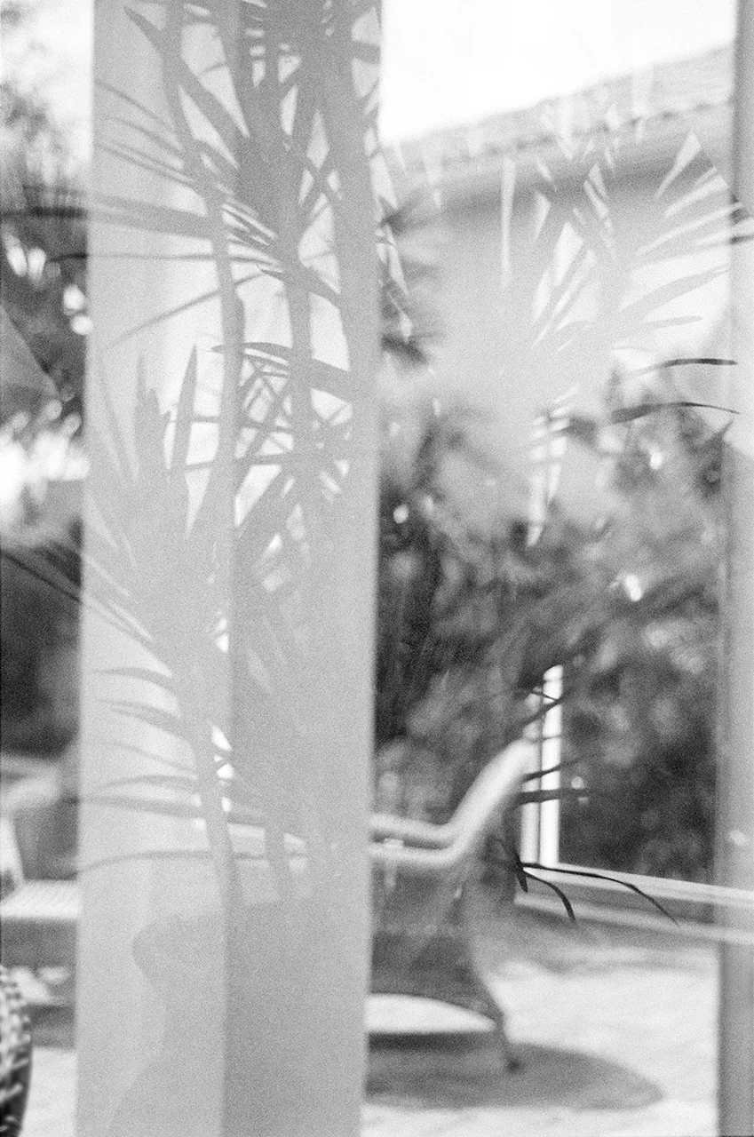 ShadowsOfThisBackyardJA.jpg
